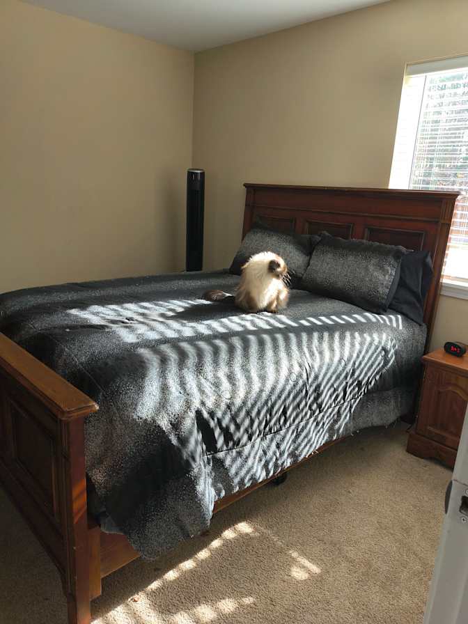Jennifer's room