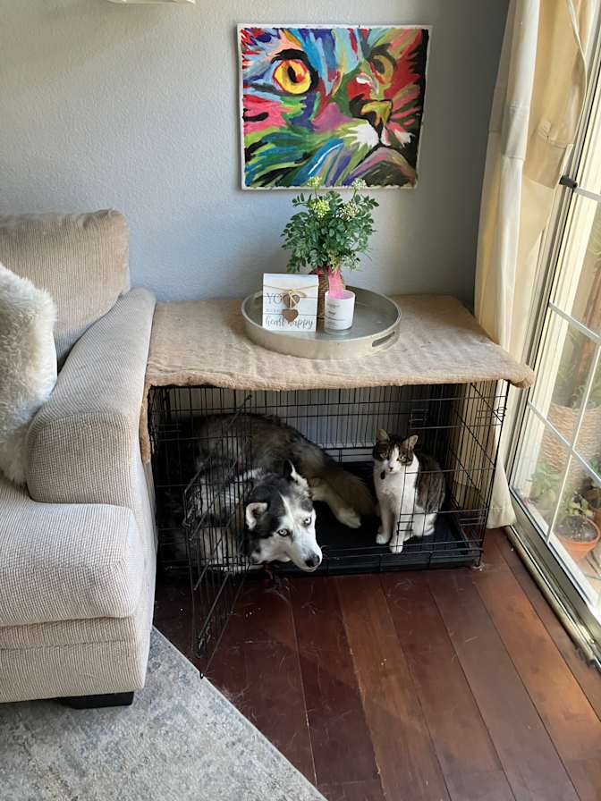 Julie's room
