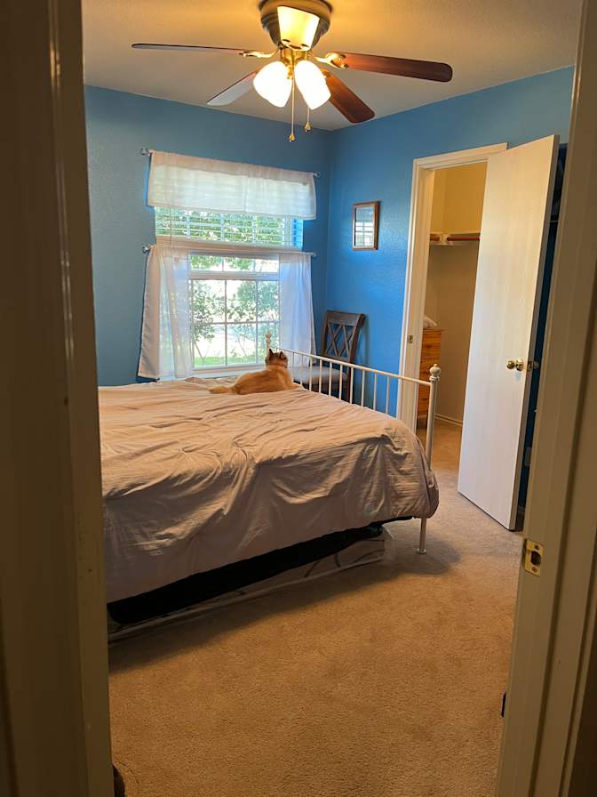 Jeff and Cara's room
