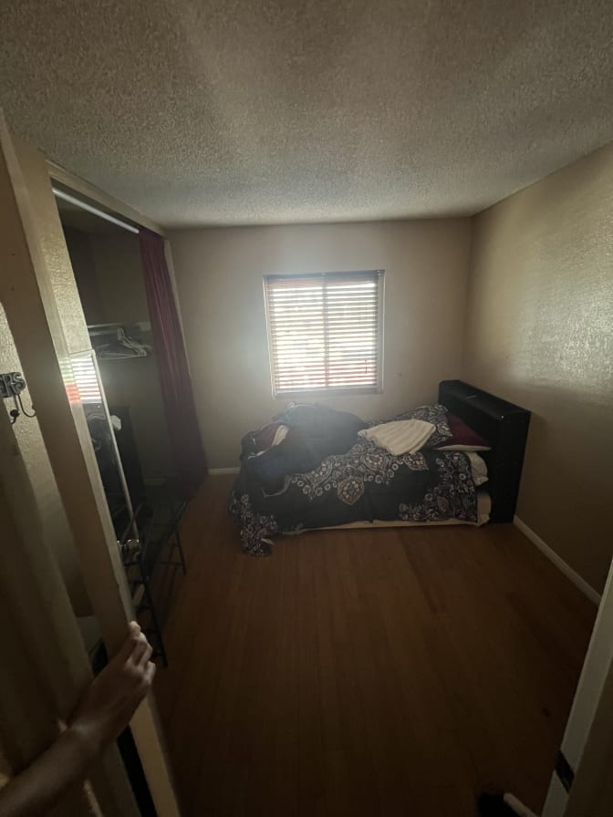 Alex's room