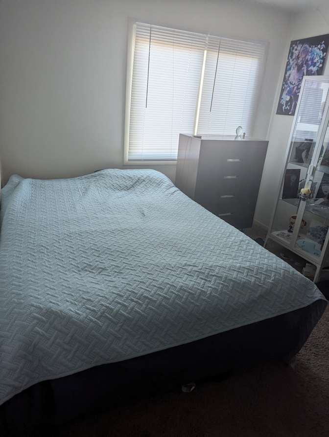 Misti's room