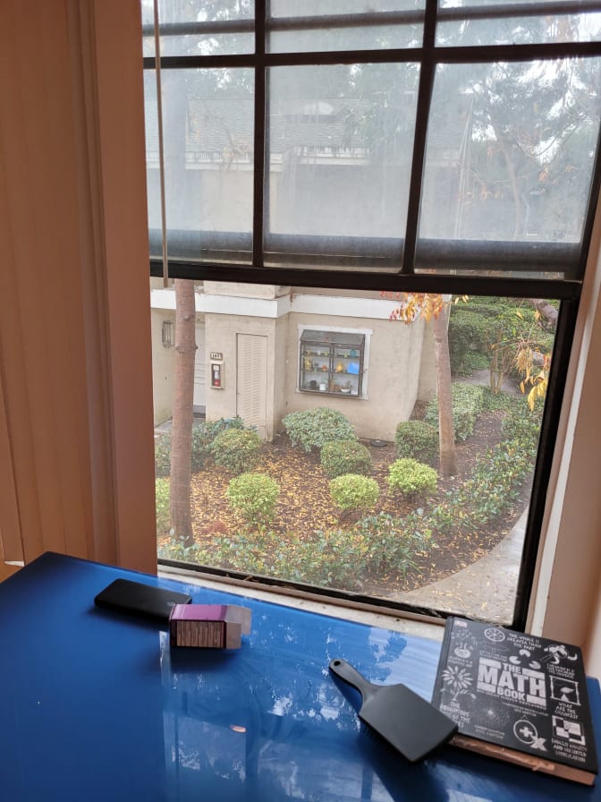 Fay Dolatshahi's room