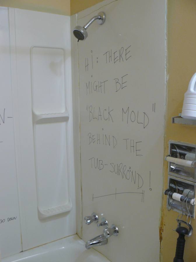 Miss Renee K Taylor--Rights Activist--Cleans--Does other Unskilled Labor--Attended University--Wants to help resolve an unconfirmed Crime's room