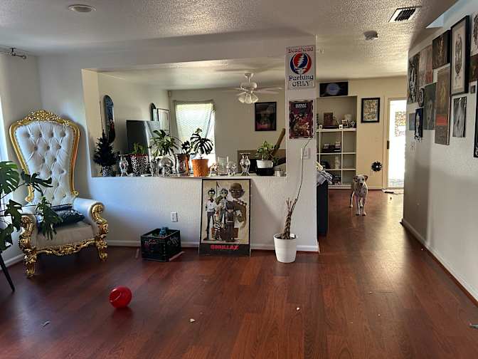 Zoie's room