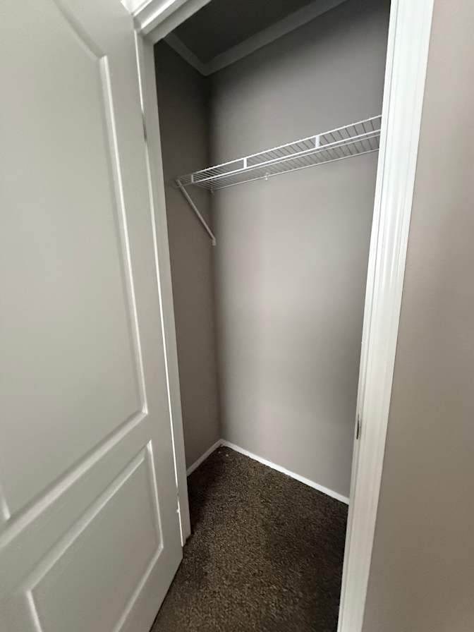 Paige's room