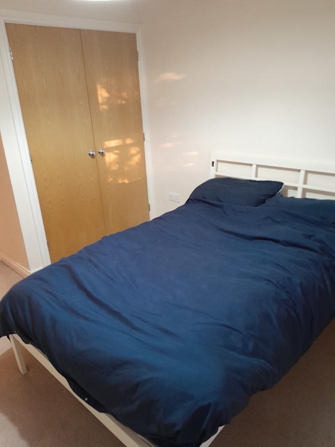 Shawn's room