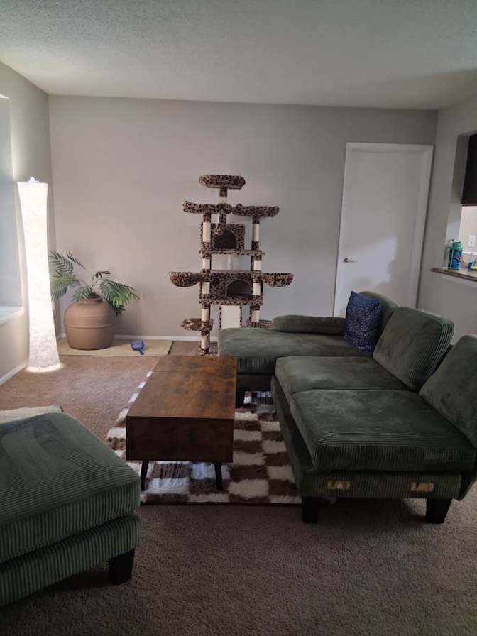 Laura's room
