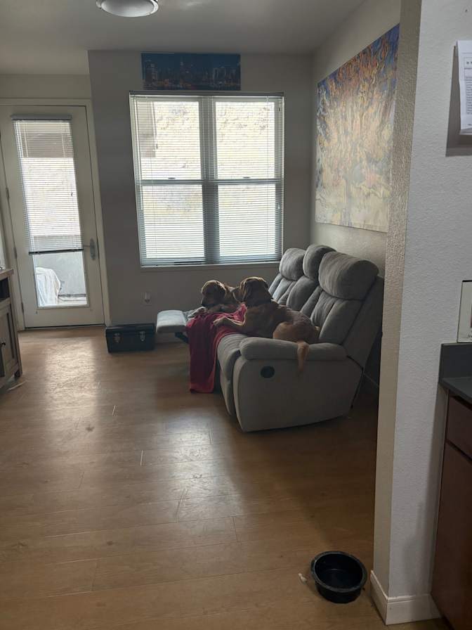 Nicholas Smith's room