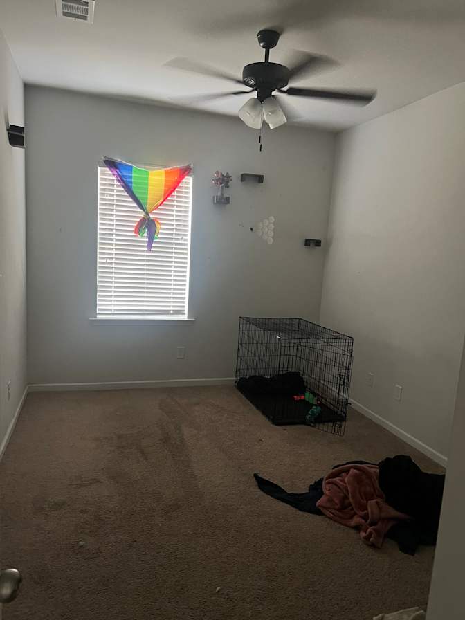 Liz's room