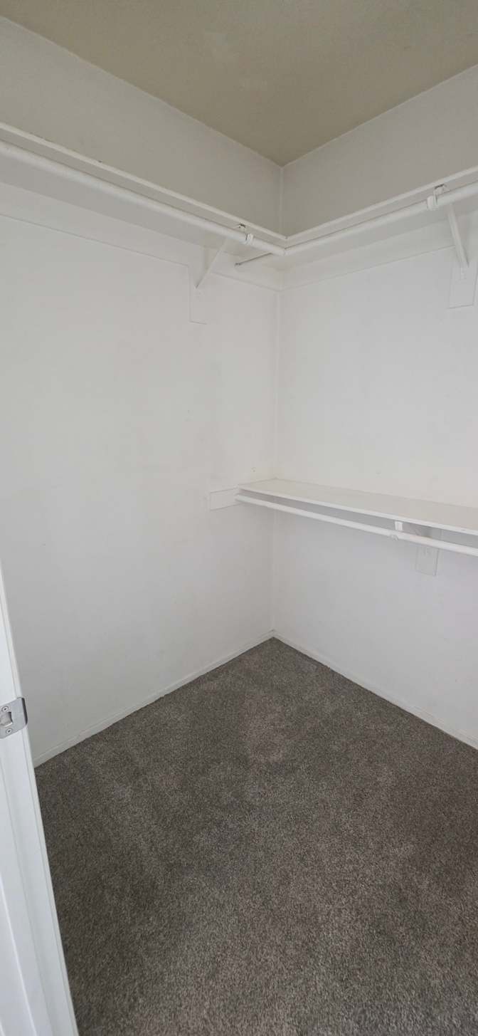 Tyler Sievers's room
