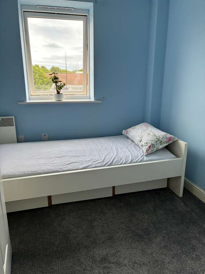 Sri's room