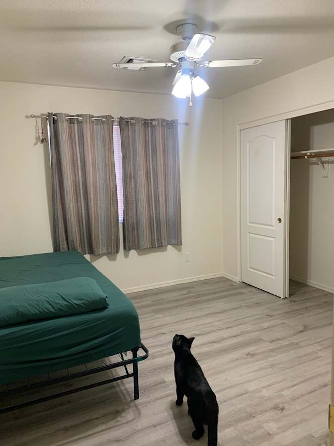 Kirshe Cornfield's room
