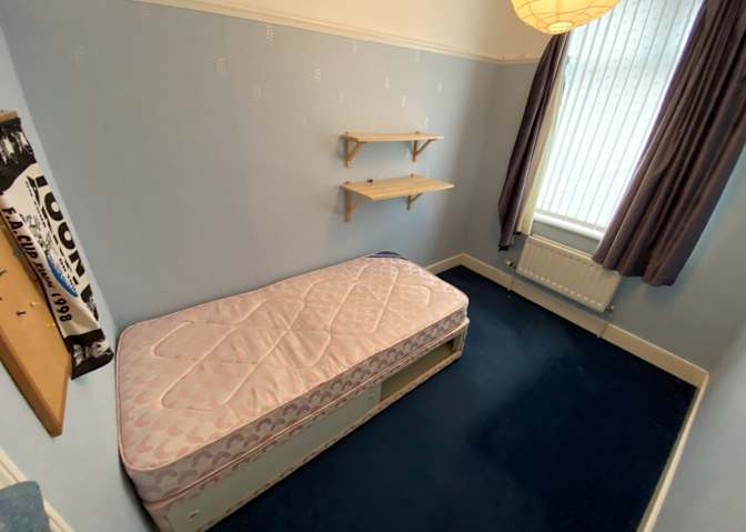 Sofiia Korol's room