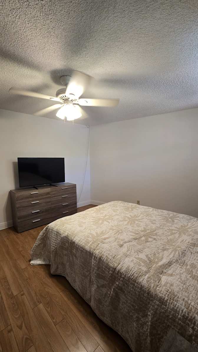 Olga's room