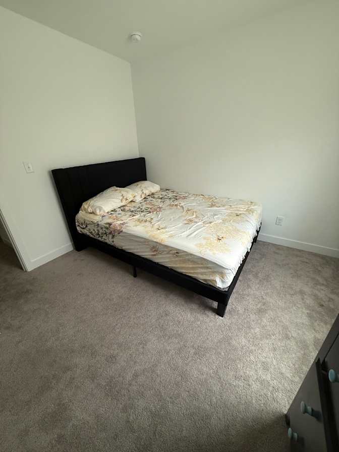 lauren's room