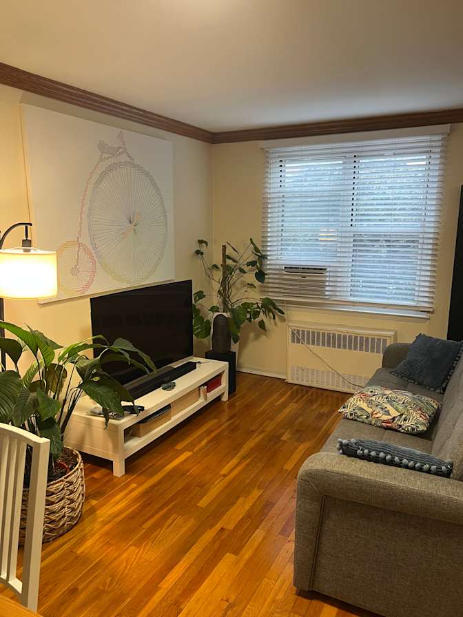 Jardany's room