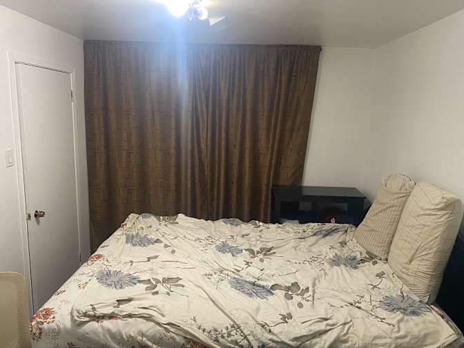 Basil's room