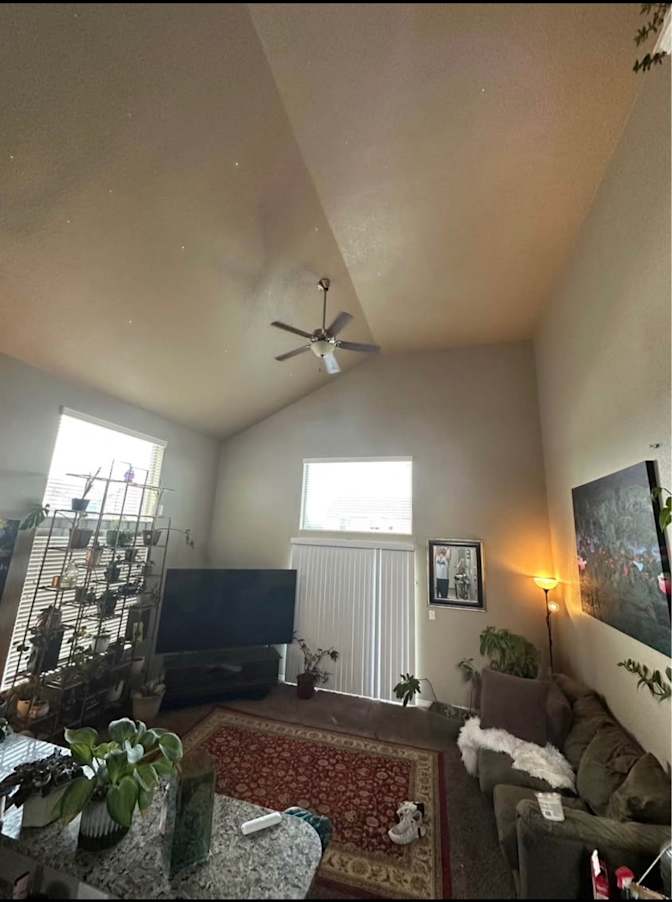 Christian Schultz's room