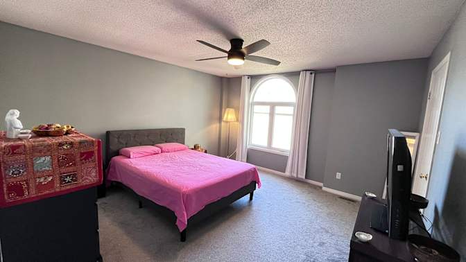 RAY SABERI's room