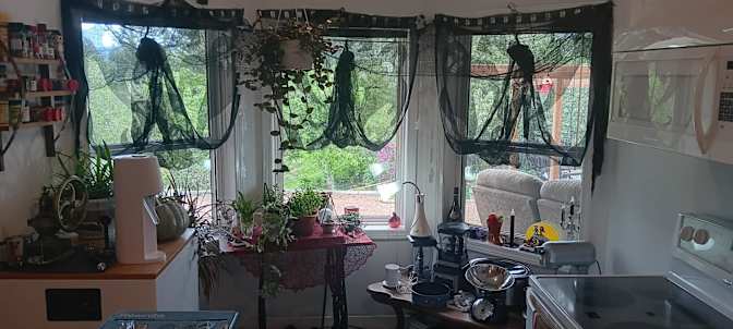 Annyssa's room