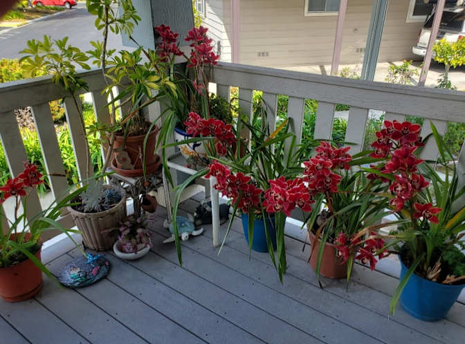 Karen Levine's room