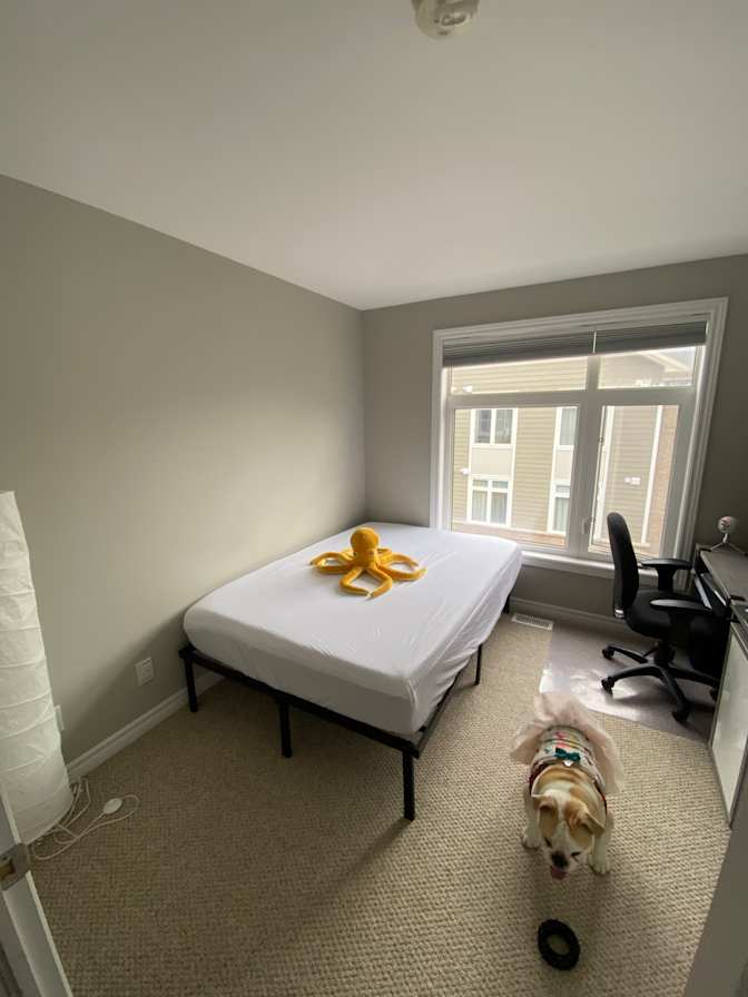 Drew's room