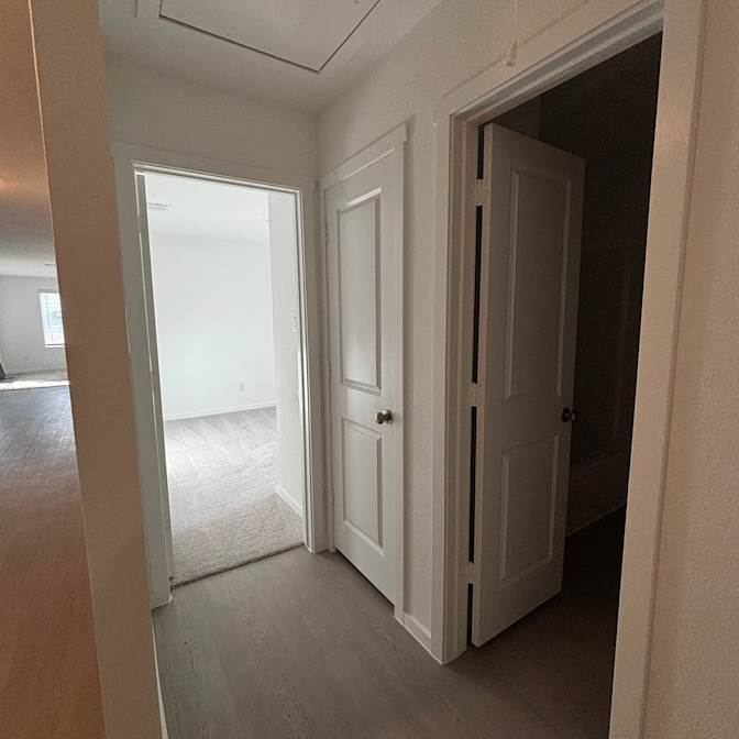 Cat's room