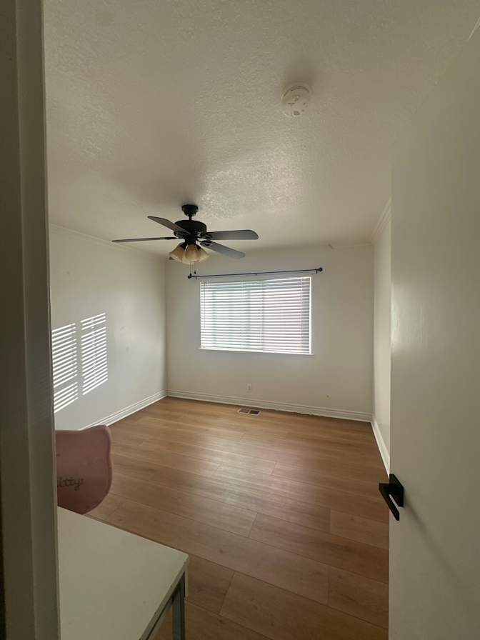 Evelyn's room