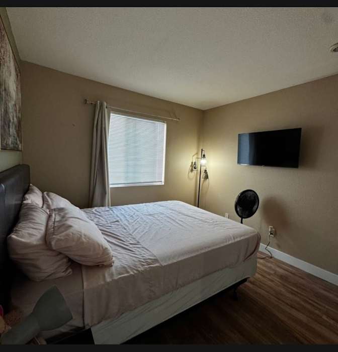 Femia's room