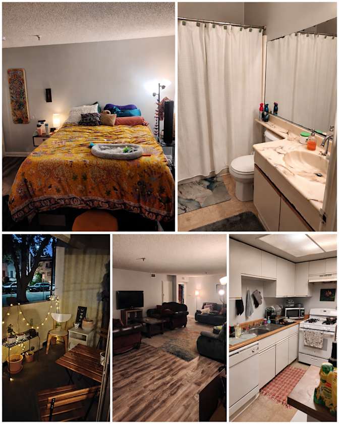 Zhiyu Dong's room