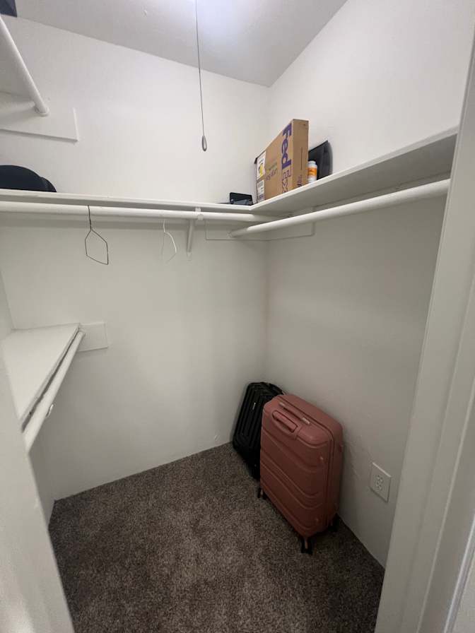 Mohammad's room