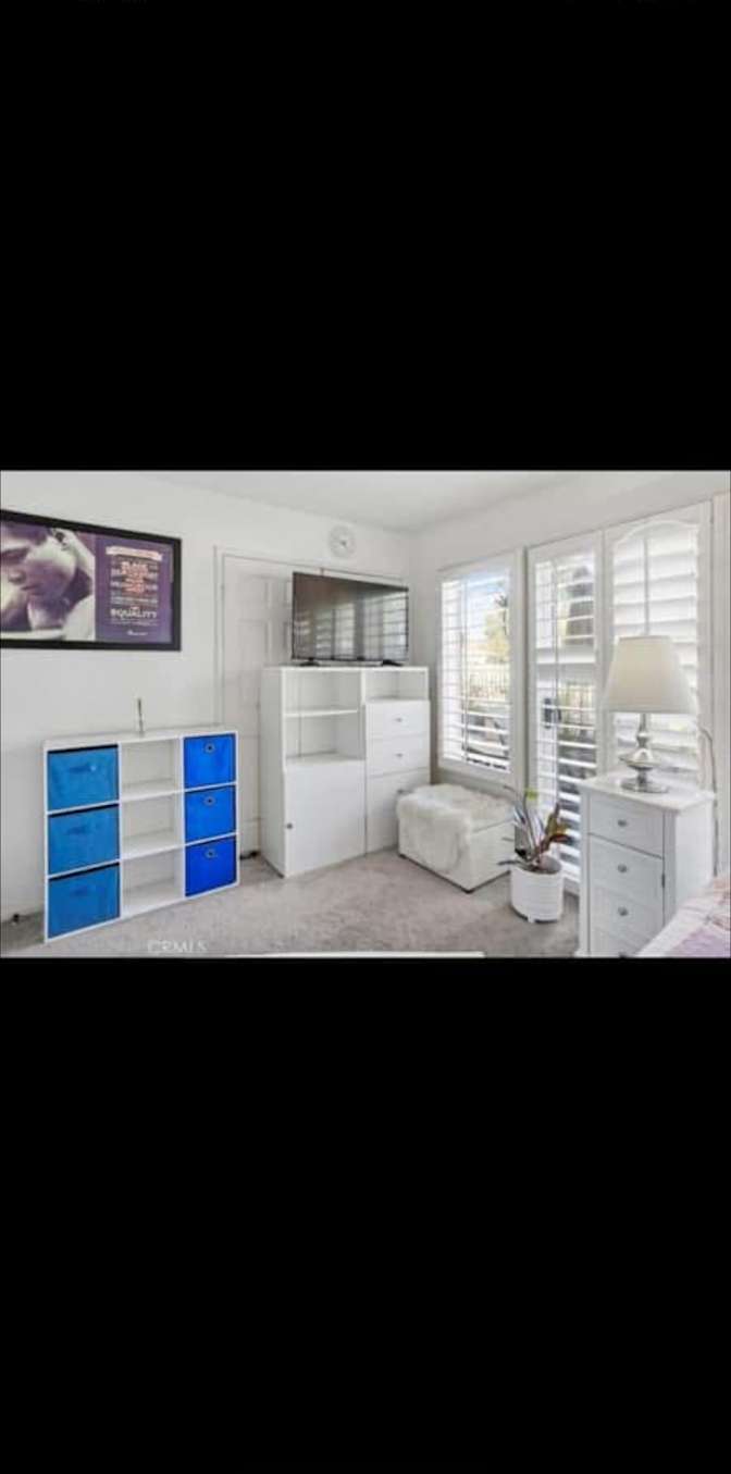 Shawn's room
