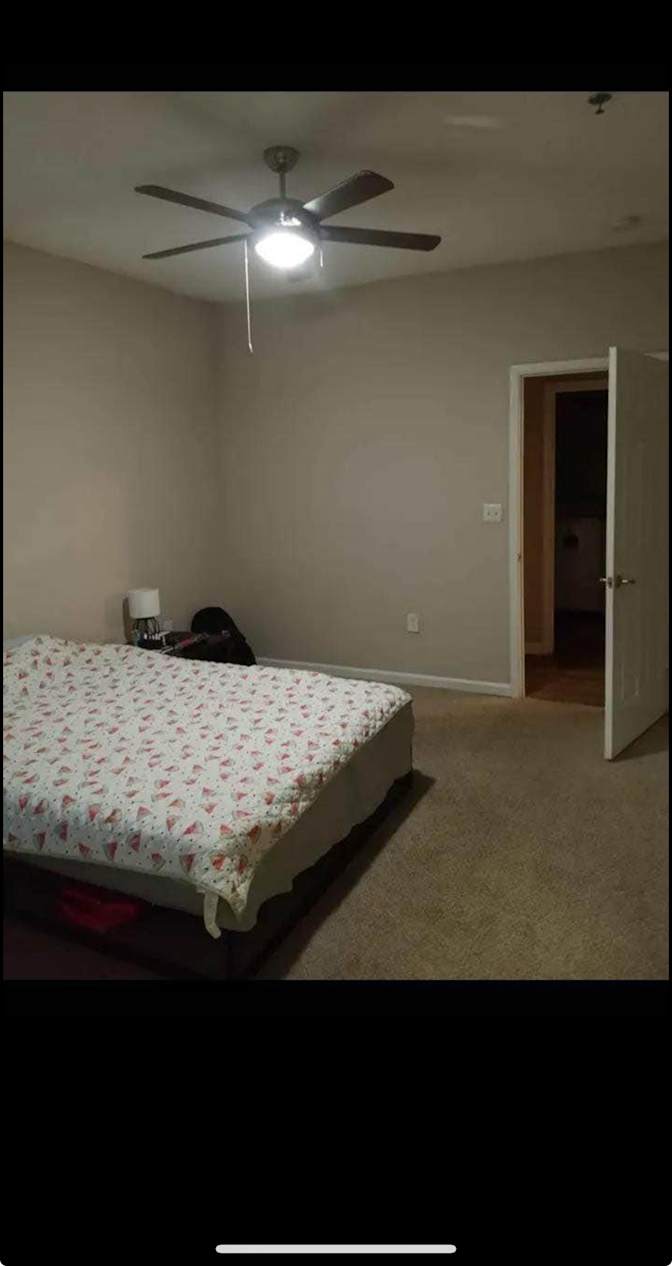 Zeynep Arslan's room