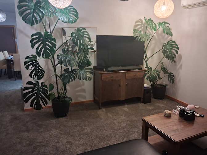 Morgan's room