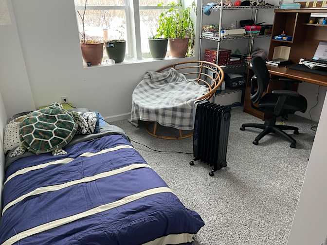 Nicholas Catania's room