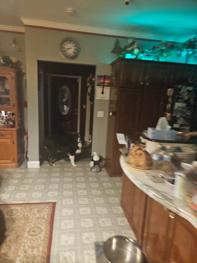 Debra L Kudrycki's room