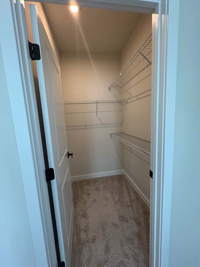 Daniel's room