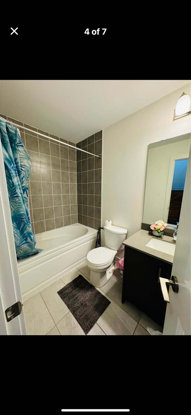 Meisam Rostaminia's room