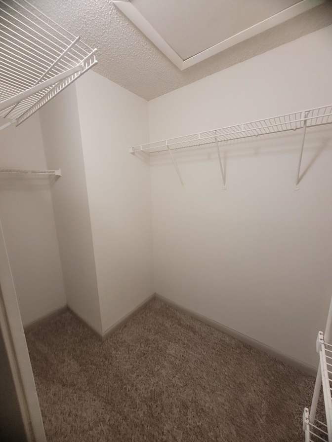 David's room