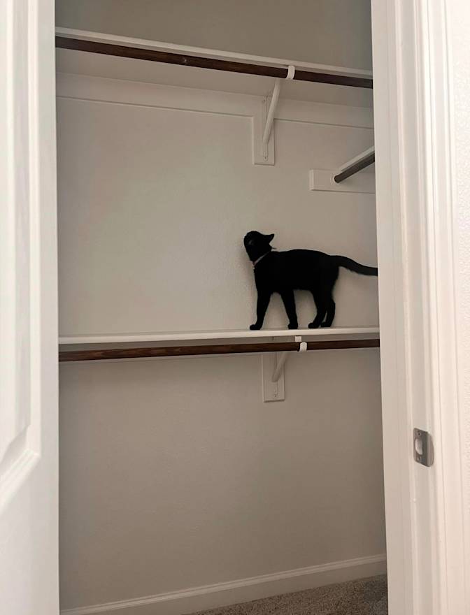 Gabriel's room