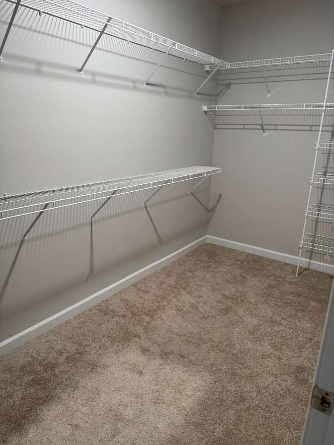 Tara Parker's room