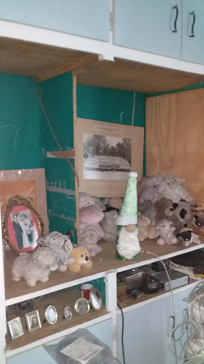 Ally's room