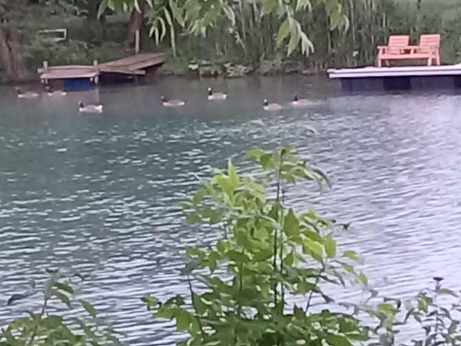 Rainbow Rooms's room