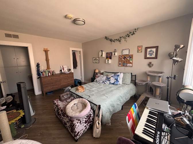 Dani's room