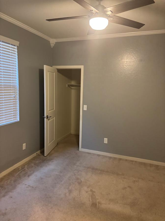 David's room