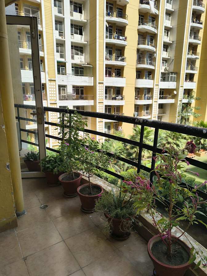 Vidushi's room