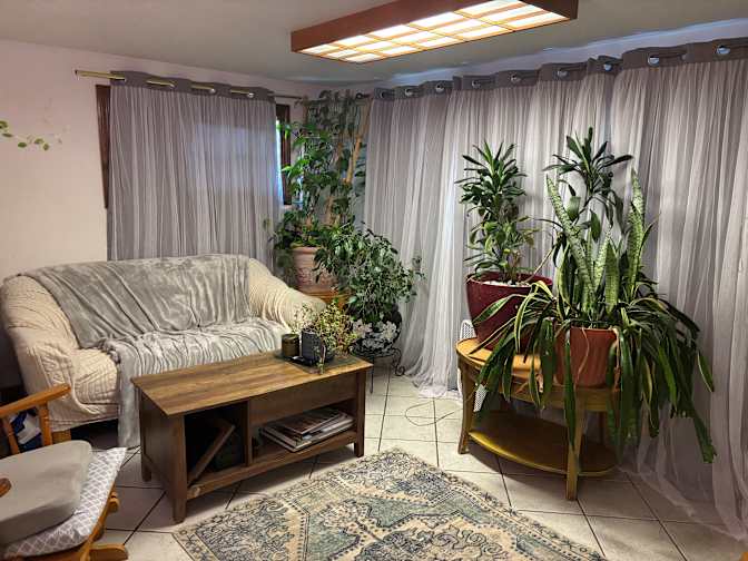 BRANDILYN L DAVIDSON's room