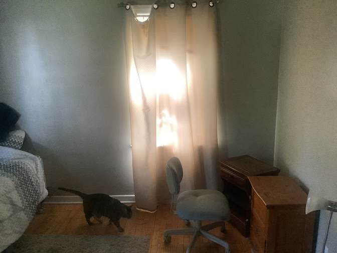 Matt's room
