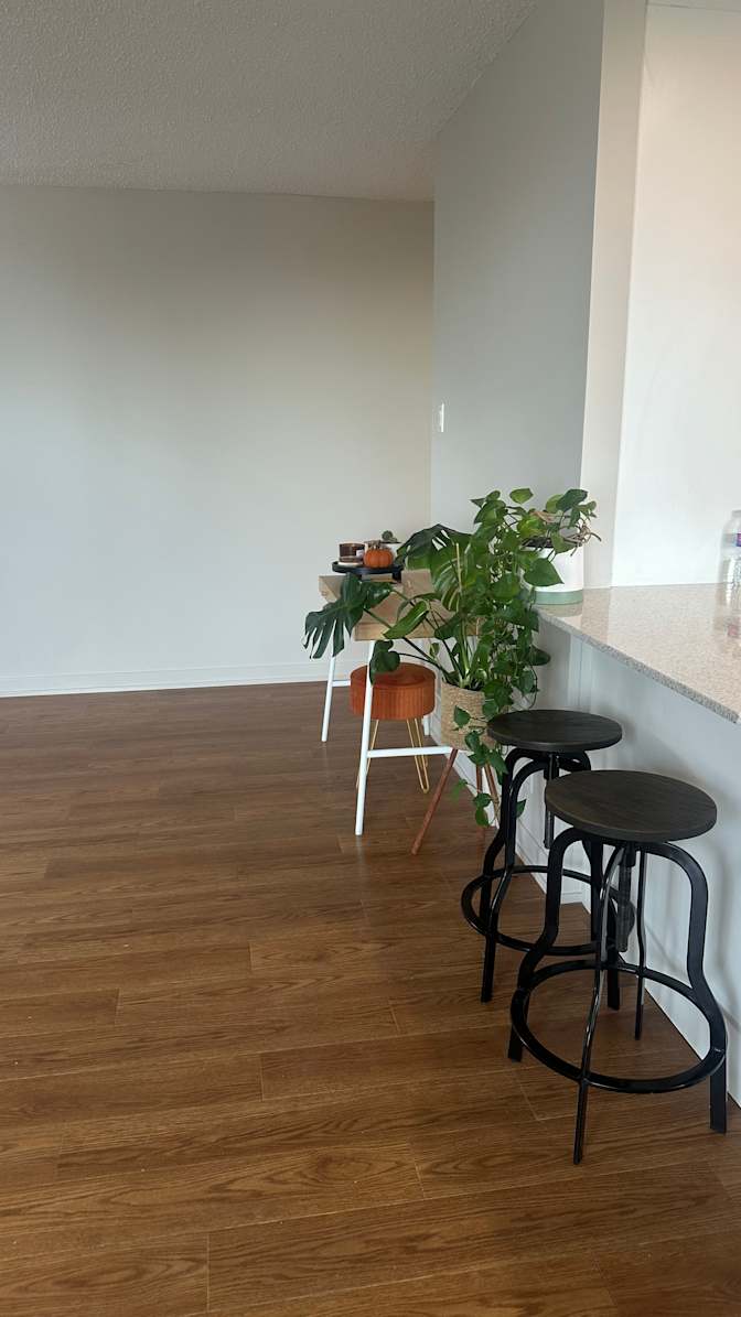 Nikita Bhatia's room