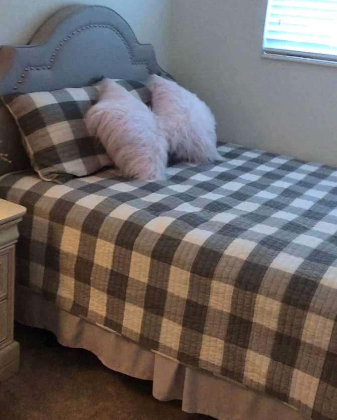 Cindy's room